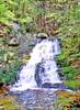 1992nd_Falls-Fields_Brook_web.jpg