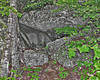 199Mt_Major_rockfall_-_entrance_cave.jpg