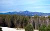 199Ossipees_from_Roberts_Cove_Rd_web.jpg