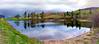 199Shanon_Pond_-_Spring04_web.jpg