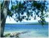 62Sandy_Island_6_2004_00059.JPG