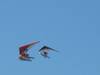 652flyingaway1.JPG