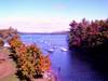 83Weirs_The_Beach_1.JPG