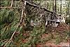 Alton_Tornado_Damage.jpg