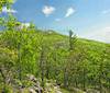 Below_Bald_Knob_024_enh.jpg