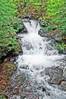 Brook-Walk---Whittier-Falls.jpg