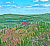 Castle-Oak-Ridge-Lookout.jpg