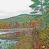 Cates-Pond-Pine-Hill-ed2.jpg