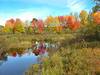 Fall_color_MM_Marsh_1.jpg