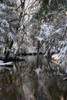 Guntock_River_Gilford_NH_12-05-09_005.jpg