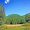 Turtleback-Mtn_from-east-2.jpg