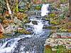 Waterfalls---Fields-Brook2.jpg