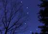 big_dipper_5_am_2-19-12.jpg