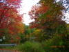 fall_2009_002.jpg