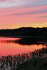 lilly_pond_just_after_sunset_7-19-12painted_sunset.jpg