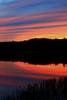 lily_pond_just_after_sunset_7-19-12_3painted_sunse.jpg