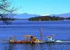 mt_washington_from_scenic_drive_gilford_11-6-12_2.jpg