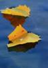 sunrise_lake_winnipesaukee_10-26-12_5.jpg