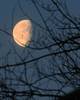 waning_gibbous_moon_4-11-12_winnipesaukee.jpg