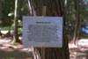 4IMG0065.jpg