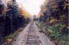 81Tracks1.jpg