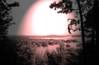 83Thumbnail_of_a_view_from_Stondam_Island.JPG