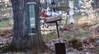 104Cardinal_041405.jpg