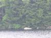 20Img_2067.jpg