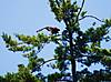DSC_0489.JPG