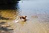 jakesfirstswim1.jpg