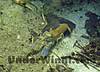 n49407508_31892088_2614.jpg