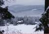 198PICT0004.jpg