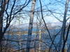 20Img_0972.jpg