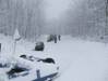 Bring_On_The_Snow.JPG