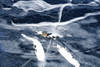 Ice-Fishing-3812AsWm.jpg