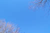 beautiful_blue_sky_012206.jpg