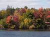 1003Fall_Colors.JPG