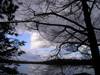 1118AutumnSky.JPG
