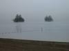 147Twin_Islands_in_fog.jpg