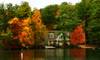 165Foliage_House2193sml.jpg