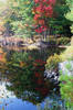 FallReflections_2813sml.jpg