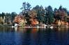 Foliage_near_Lee_s_Mills.jpg