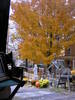 P1010006.JPG