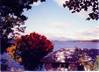 Scenic_View.JPG