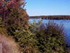 Winnisquam_Marine_And_Mosquito_Bridge_In_Autumn_1.JPG