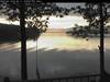 322bear2110sunset.jpg