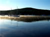 Smith_Cove_8_11_06_7_AM_4.jpg