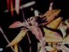 198100_0135.JPG