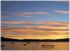 Sandy_week_6_147.jpg