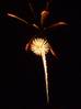 firework2.jpg